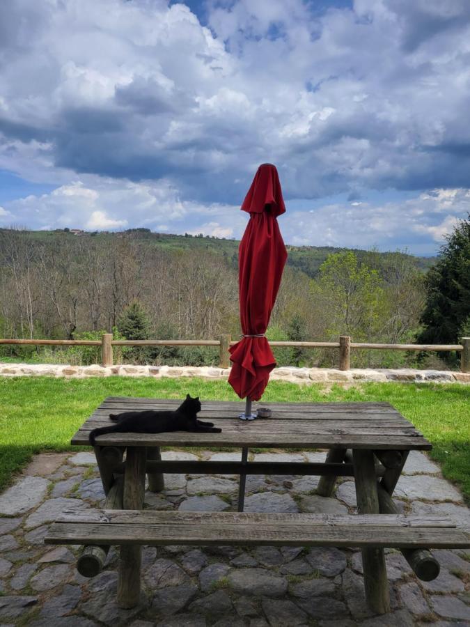 Se Reconnecter A La Nature Au Gite 3 Etoiles De Montager A Saint Andre De Chalencon Экстерьер фото