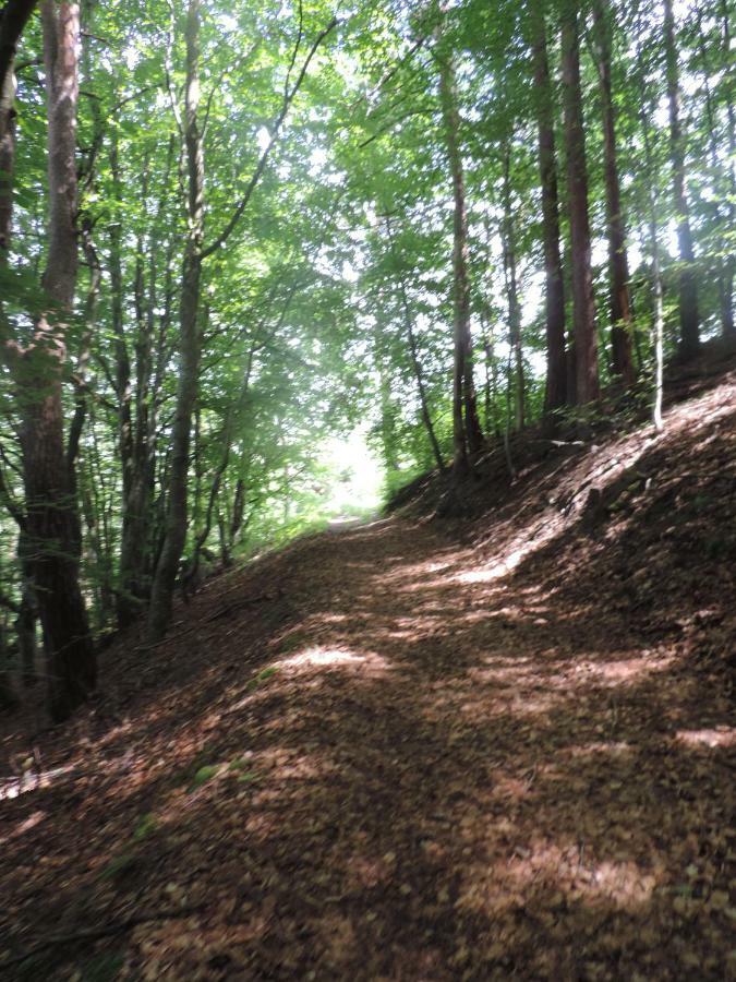 Se Reconnecter A La Nature Au Gite 3 Etoiles De Montager A Saint Andre De Chalencon Экстерьер фото