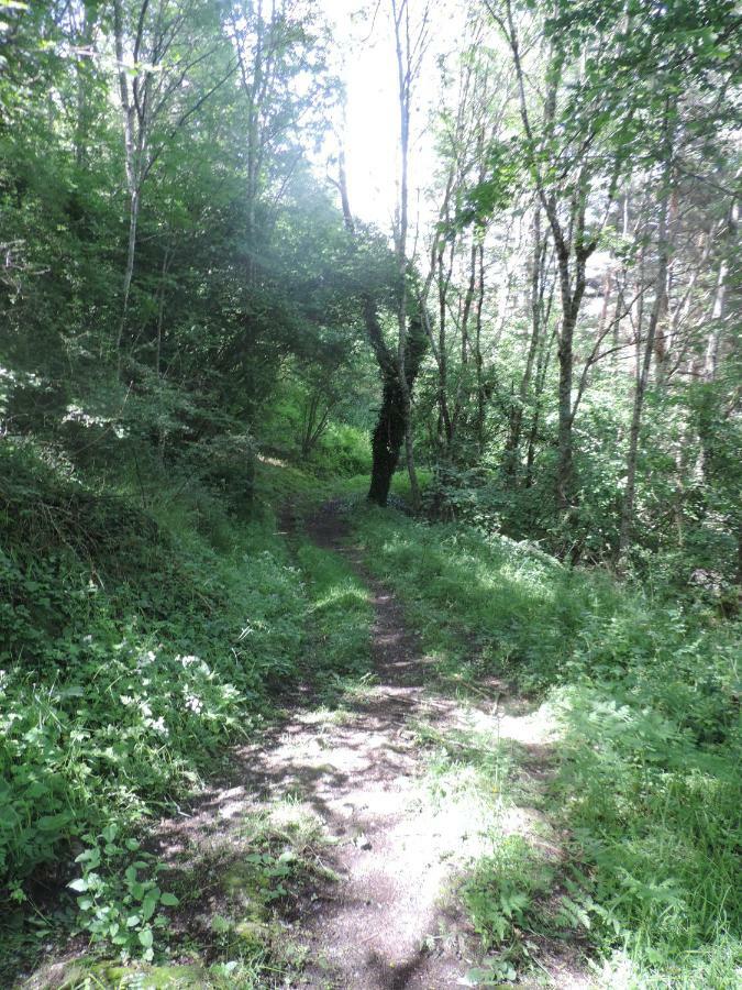 Se Reconnecter A La Nature Au Gite 3 Etoiles De Montager A Saint Andre De Chalencon Экстерьер фото