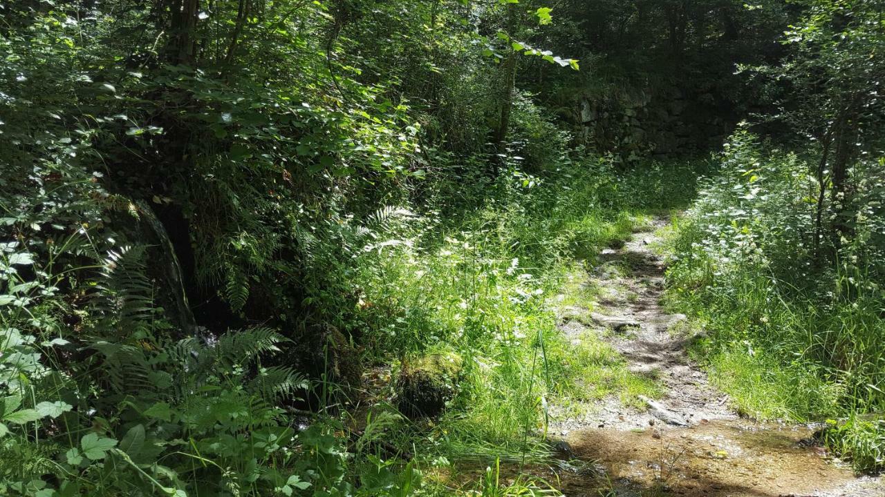 Se Reconnecter A La Nature Au Gite 3 Etoiles De Montager A Saint Andre De Chalencon Экстерьер фото