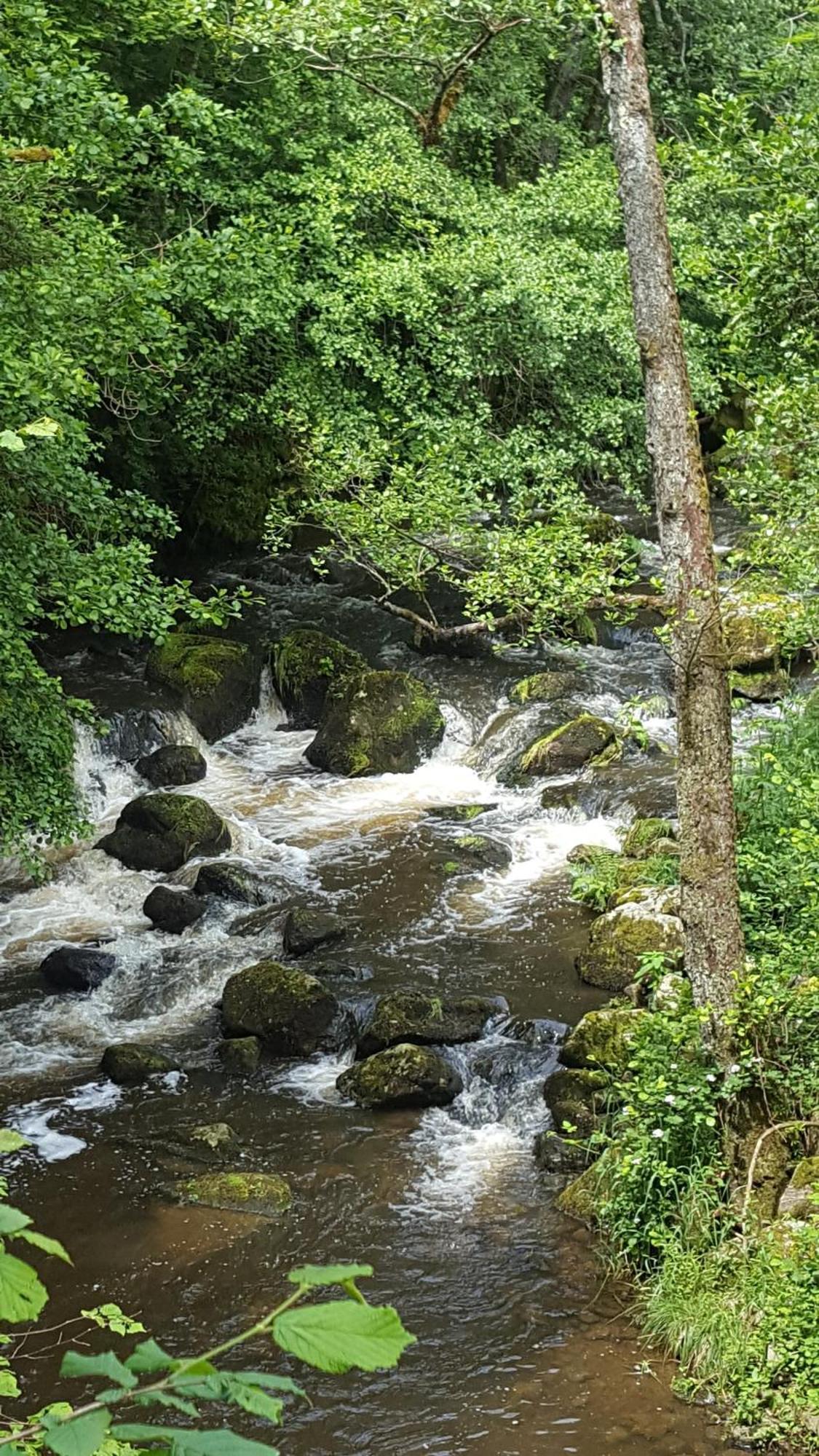 Se Reconnecter A La Nature Au Gite 3 Etoiles De Montager A Saint Andre De Chalencon Экстерьер фото